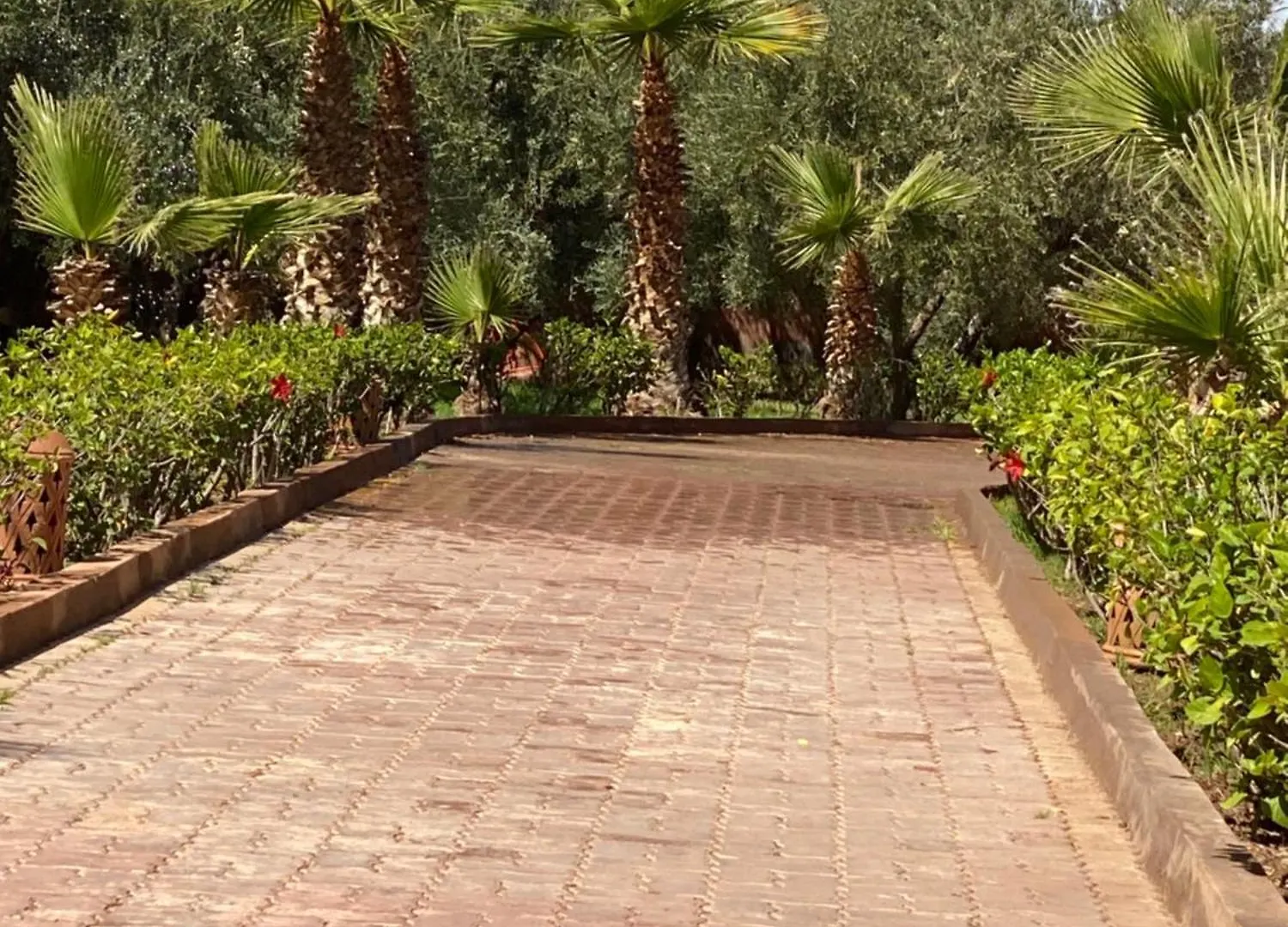 Villa4You Marrakesch